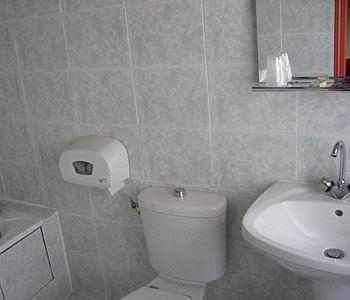 Leonard De Vinci Ii *