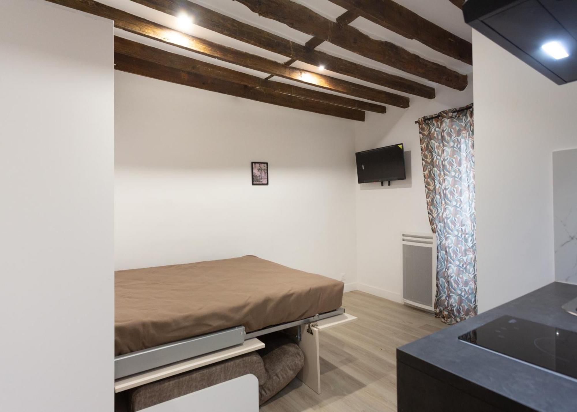 Léonard De Vinci Ii Parigi